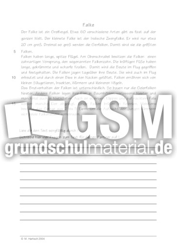 Falke.pdf